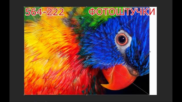 Печать фото с полями и без полей смотреть онлайн