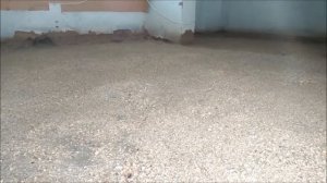 Бетонные полы по грунту, в старом саманном доме/ Саманный дом 1957 года