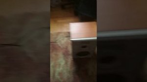 Проигрыватель Вега 103.Восстановление после ,20 лет.