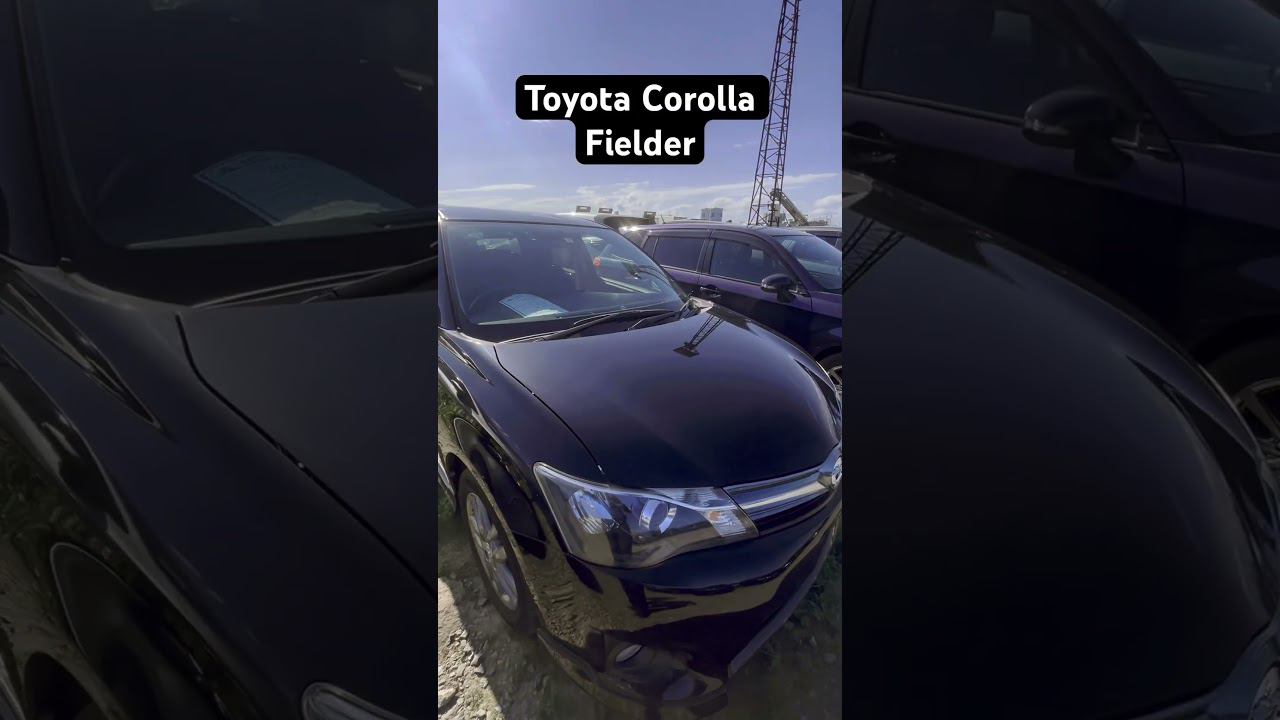 Зеленый угол, Владивосток. Обзор цен сентябрь 2023. Corolla Fielder, Corolla Touring, Fit. смотреть онлайн