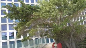 Израиль. На крыше торгового центра Азриэли в Тель-Авиве.