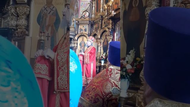 24 ноября 2023 г. смотреть онлайн