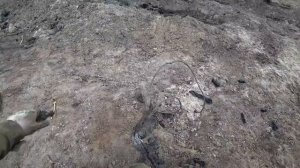 НАШЛИ МЕДНЫЙ КАБЕЛЬ И НЕ ТОЛЬКО . КОП МЕТАЛЛА ЭКСКОВАТОРОМ.