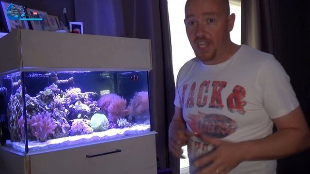 Update 8 Nanotank /Need your advice! Lot's of changes смотреть онлайн