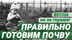 Каким должен быть идеальный грунт для рассады