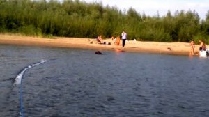 Лыжи ОКА-4/Yamaha F40Bets