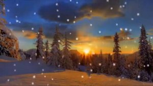 СЧАСТЛИВ ДОМА. Миша Фреш