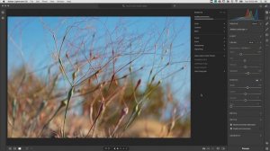 Profiles and Presets in Lightroom CC