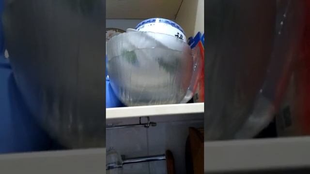 Фруктовый салат 1 часть смотреть онлайн