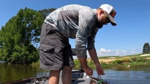 Catching bluegill with gulp alive crickets