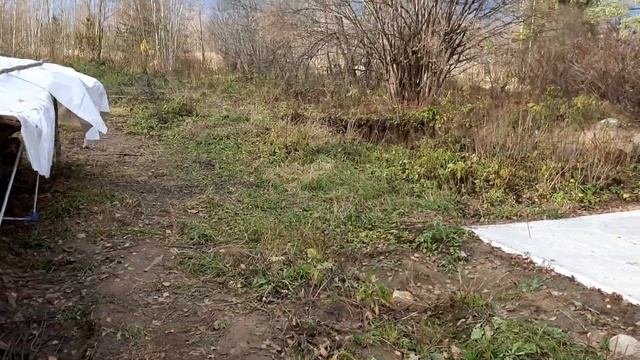 Обзорка участка на начало ноября 2020 года