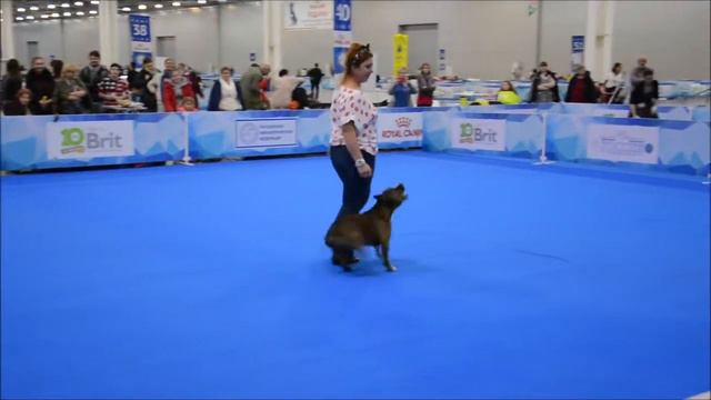 Ольховская Зоя & AСТ TATAR`S TC FEDOR (Федя) смотреть онлайн