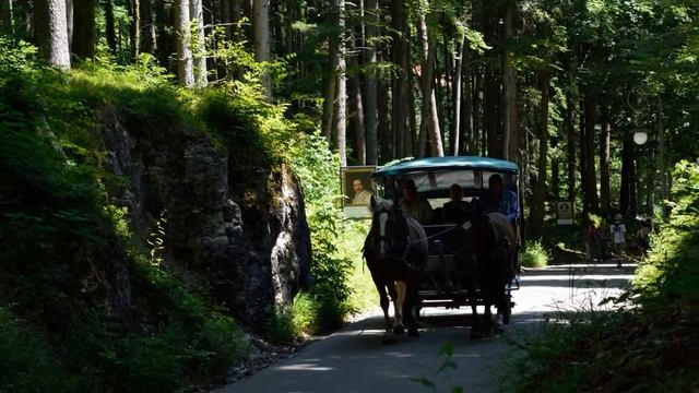 Мюнхен и замки Южной Баварии. смотреть онлайн