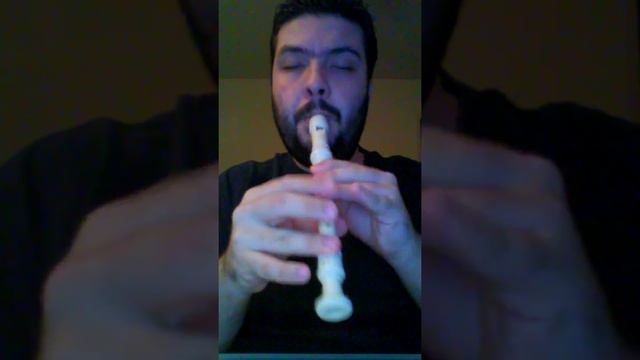 Nightwish - The Pharaoh Sails to Orion flute cover (recorder) na flauta doce смотреть онлайн