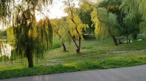 Железноводск.Городской парк.Имени Станислава Говорухина,Хороший город для жизни в России.