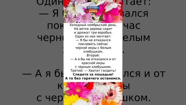 Сидят на ветке три воробья #анекдоты #смех #радость #шутки #шутки #юмор #анекдотыновые