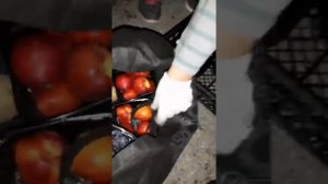 Находка с помойки 15 часть