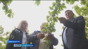 На Ставрополье действует проект «Сады под ключ»