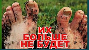 БОЛЬШЕ их не БУДЕТ, 100% защита от КОМАРОВ