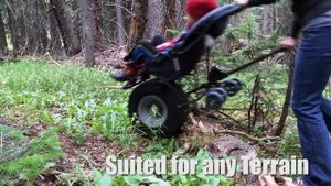 The stroller built to go anywhere