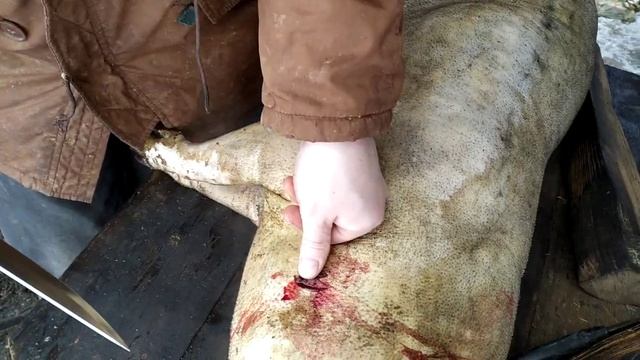 Как резать поросенка смотреть онлайн