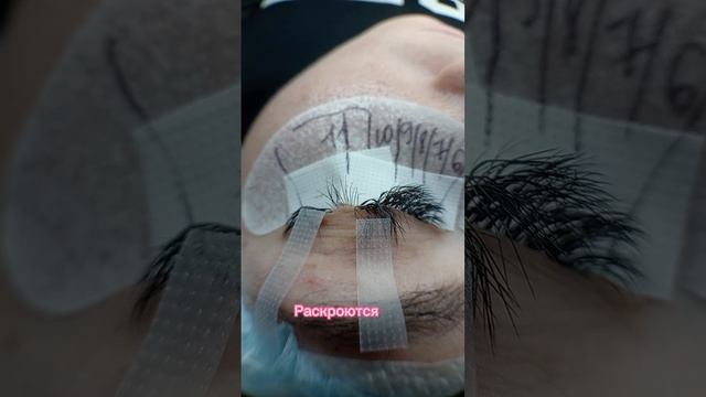 Подклейка для скоростного наращивания #наращиваниересниц #наращиваниересницобучение #ресницы