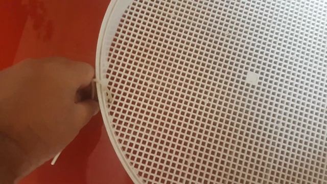 Витамин D 2 и преимущества естественной сушки грибов и овощей Практический совет смотреть онлайн