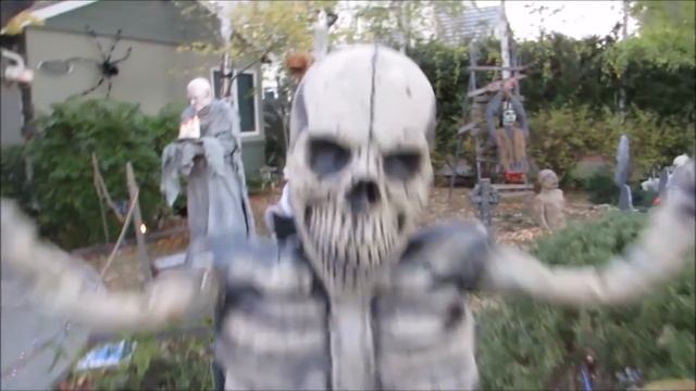 Какие самые старые деревья на планете? Деревья долгожители - Топ 5 - Самые старые деревья в мире смотреть онлайн