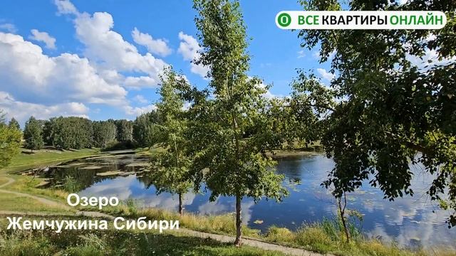 РАФИНАД – новый облик микрорайона #жкновосибирска #новостройкиновосибирска