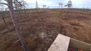 Выезд на охоту на вездеходе по болоту, гусь не летит, встретил медведя