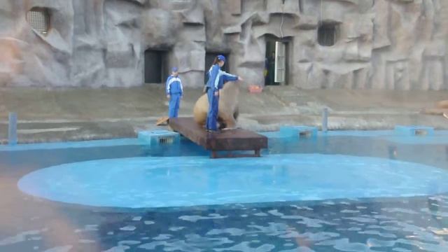 зоопарк Ижевска 7 смотреть онлайн