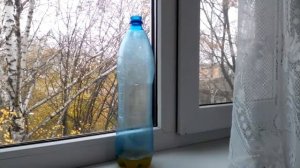 Как избавиться от мышей в частном доме рас и навсегда to catch mice!!!.