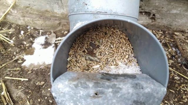 Бункерная кормушка,недостаток и доработка!!!