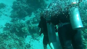 Погружение с аквалангом в коралловые рифы Красного моря. Первое погружение Валерии.