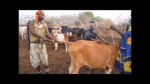 Эфиопия. Племя Мурси (The Mursi Tribe)