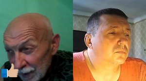 Период линьки у голубей, что делать?