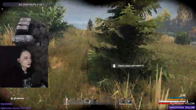 ❤ То ли Тень, то ли нет | Незабудка | Stalker rp | Path of Desire смотреть онлайн