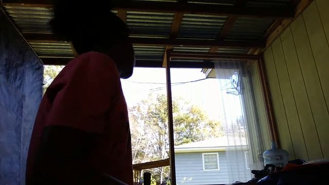 The dog trainer part 1 смотреть онлайн