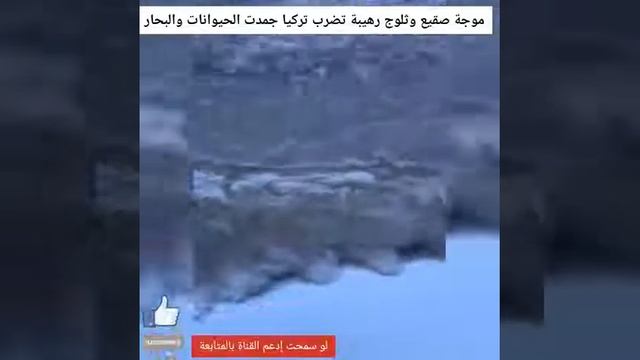 ЧТО-ТО СТРАШНОЕ ПРОИСХОДИТ В ТУРЦИИ..ЖИВОТНЫЕ ЗАМЕРЗАЮТ СТОЯ смотреть онлайн