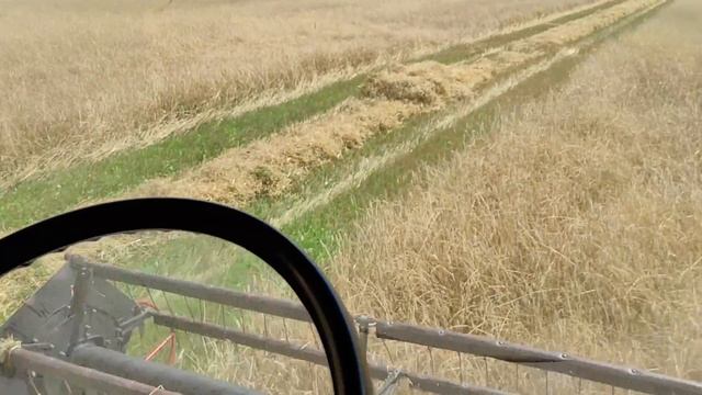 Уборка озимой ржи первый рабочий день на комбайне GS10 ПАЛЕССЕ (Сезон 2021)