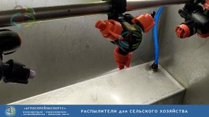 Двухфакельный распылитель инжекторный