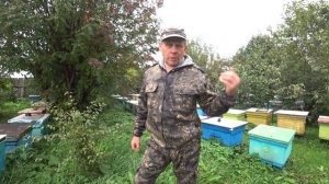 ОСНОВНЫЕ РАБОТЫ В СЕНТЯБРЕ НА ПАСЕКЕ С ПЧЁЛАМИ