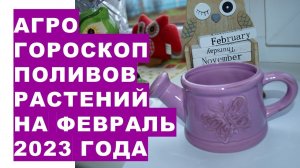 Агрогороскоп поливов растений в феврале 2023 года. Агрогороскоп поливу рослин в лютому 2023 року