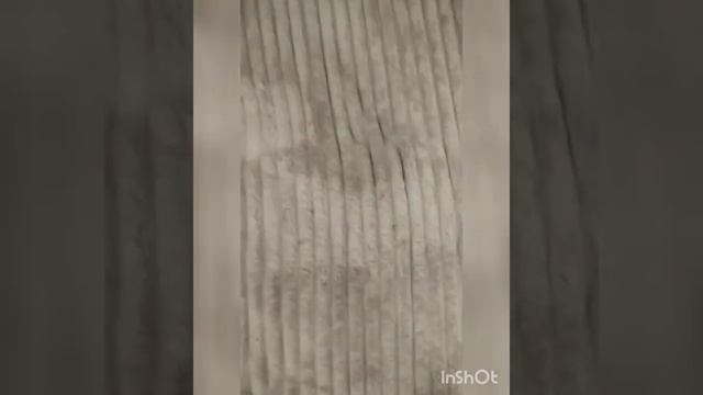 Тестируем средство для ковров и обивок серии Faberlic смотреть онлайн