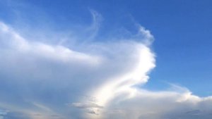 Всем нам свойственна тревога-Владимир Зыбкин