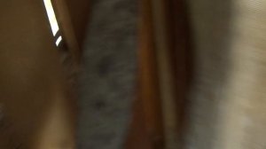 Разведение быков как прибыльный бизнес