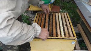 Подготовка семей к зиме. Распределение расплода. Часть 2 (продолжение).