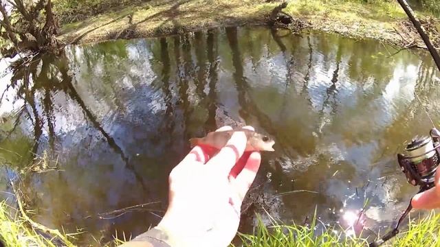 МОРМЫШИНГ. Ловля окуня - 2 дня на малой реке.