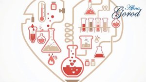 Чем отличается физика от химии? Удивительная наука
