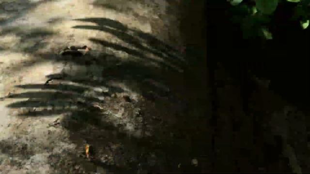 Экскурсия по форту Шанец. 6 часть. 2021. ТМД. смотреть онлайн